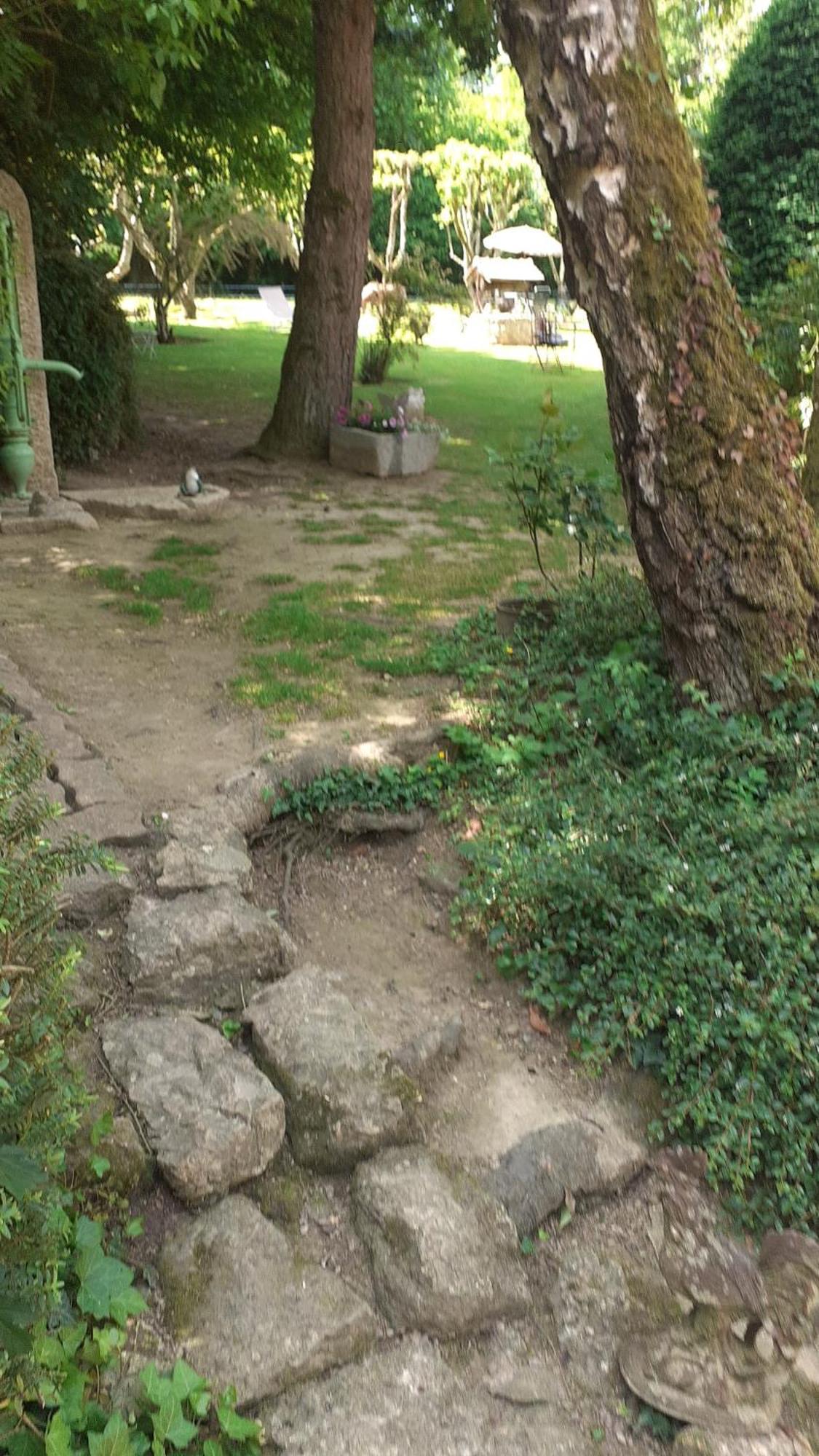 7 , Le Haut Montraye Pacé Buitenkant foto