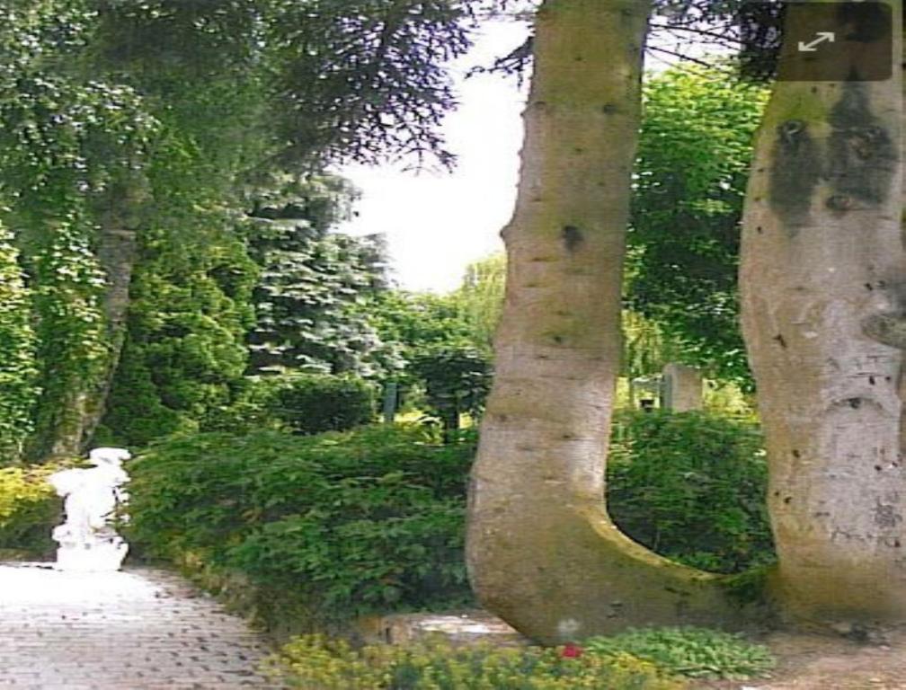 7 , Le Haut Montraye Pacé Buitenkant foto